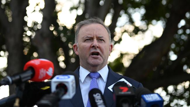 Labor leader contender and member for Grayndler Anthony Albanese. Picture: AAP