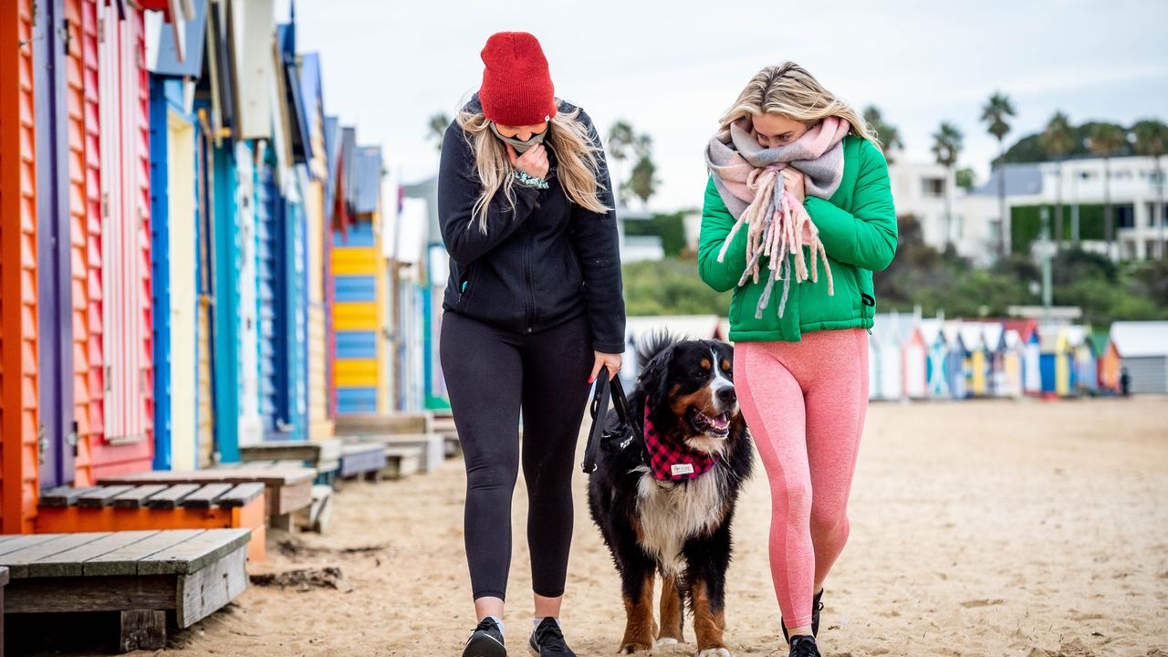 Pets can be taken to the vet. Picture: Jake Nowakowski