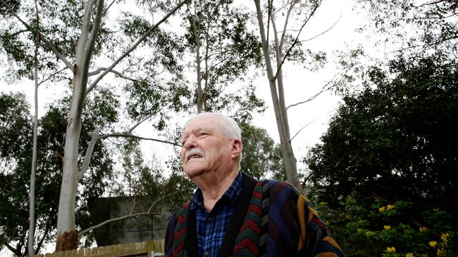 Adam Ainslie in his backyard in Kings Park where three large trees are endangering his home.