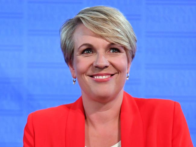 Deputy Leader of the Opposition Tanya Plibersek at the National Press Club in Canberra, Wednesday, February 20, 2019. (AAP Image/Mick Tsikas) NO ARCHIVING