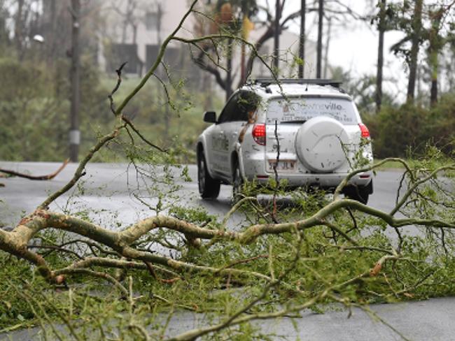 A tree is fallen across a road at Airlie Beach, Tuesday, March 28, 2017. Picture: AAP Image/Dan Peled