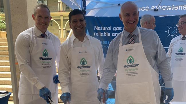 Energy, Renewables and Hydrogen Minister Mick de Brenni, MP Lance McCallum and Regional Development, Manufacturing and Water Minister, Member for Gladstone Glenn Butcher at a hydrogen BBQ at Queensland parliament Speakers Green.