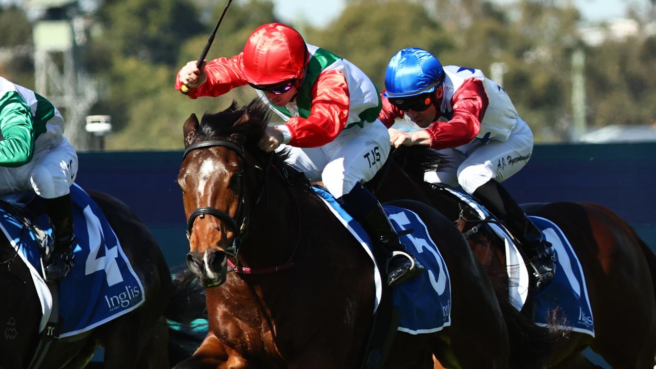 A gelding operation has worked a treat for the Gary Portelli-trained Kintyre. Picture: Jeremy Ng-Getty Images