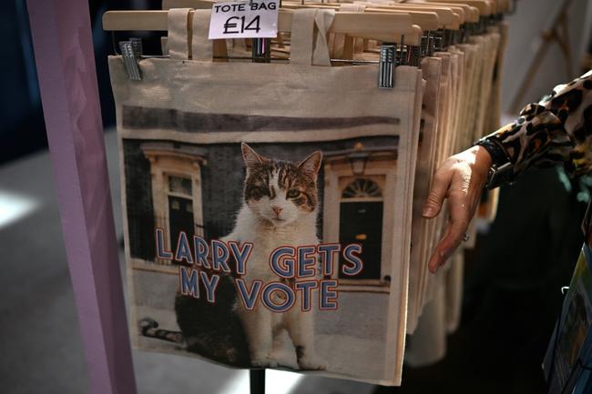 Larry the Downing Street has lived with five Conservative prime ministers