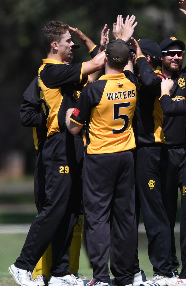 Monash Tigers celebrate a wicket.