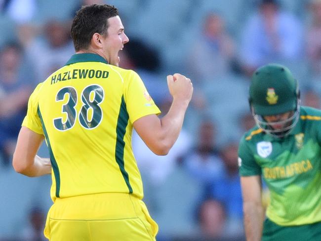 Josh Hazlewood is chance to come into the World Cup squad in place of Jhye Richardson. Picture: AAP 