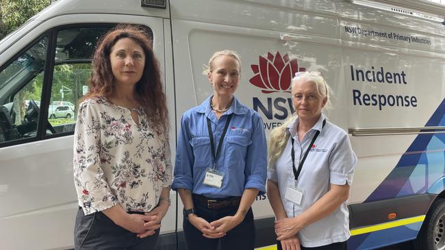 Tweed Shire Council Mayor Chris Cherry with DPI worker Brook Hooson and Wendy Gibney outside the Tweed Shire Council chambers in Murwillumbah. Picture: Sam Stolz