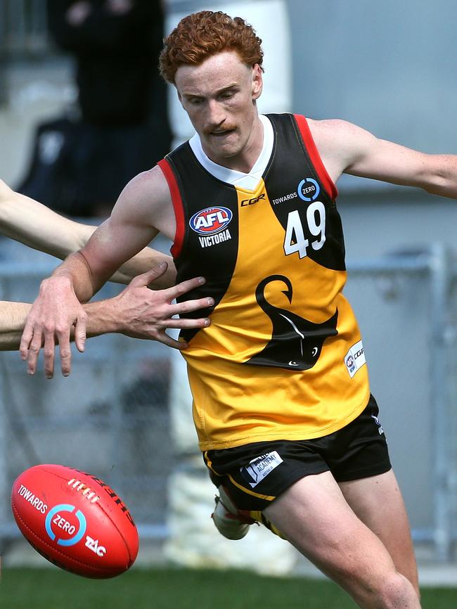 Matthew Cottrell in action for Dandenong Stingrays. Picture: Hamish Blair