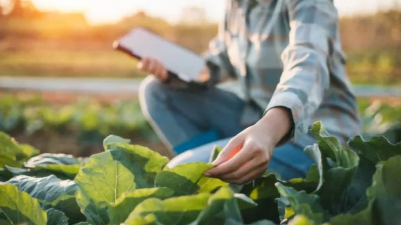 Carbon disrupter Sensand has received a $6m cash boost from Geelong businessman Robert Costa to help power a breakthrough in smart farming. Photo: Suplied.