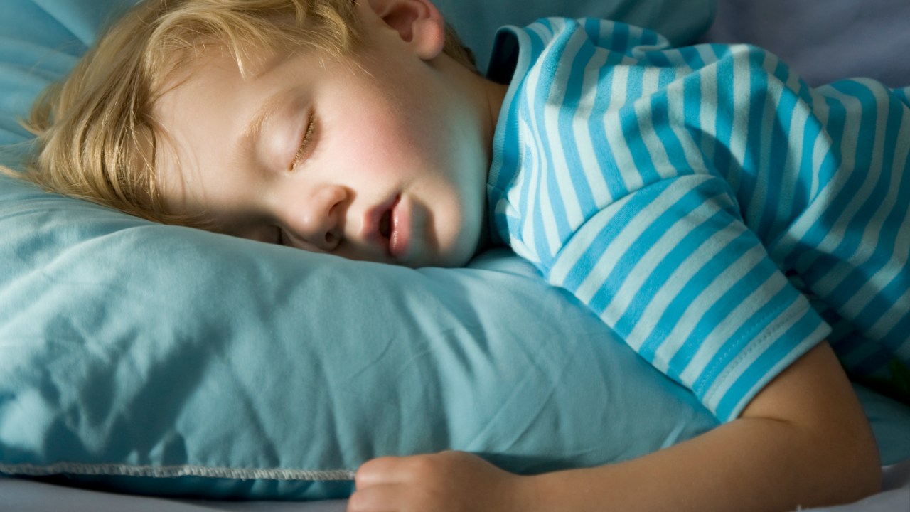 12 Best Pillows for Kids Toddlers for a Full Night s Sleep Kidspot