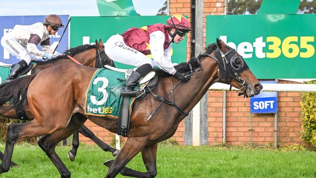 Eugenius will need a good ride from Celine Gaudray at Flemington on Saturday. Picture: Reg Ryan/Racing Photos via Getty Images