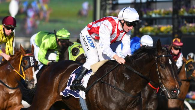 Zoutori, winning the Bobbie Lewis Quality, will give star SA apprentice Lachlan Neindorf his first Group 1 ride in Saturday’s Goodwood at Morphettville. Picture AAP Image/Vince Caligiuri