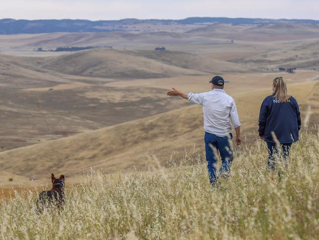 This wind will blow down power prices, here and interstate