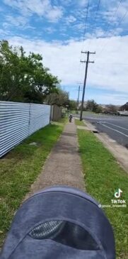 Mum uses daughter as "human shield" during magpie swooping season