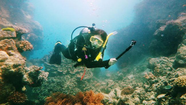 A scuba diver views coral growing on a reef wall at Hastings Reef off Cairns. Picture: Brendan Radke