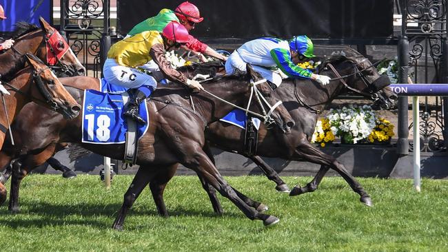 Skew Wiff wins the The Hong Kong Jockey Club Stakes at Flemington. Picture: Reg Ryan–Racing Photos via Getty Images