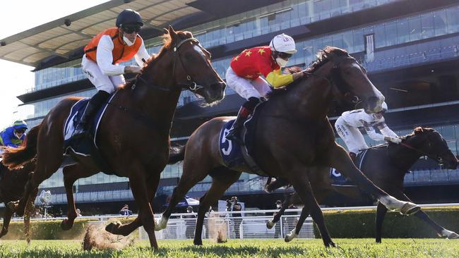 Aim (red and yellow) edges out Ellsberg in the Silver Eagle. Picture: Getty Images