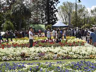 Carnival of Flowers 2016. Queens Park Botanic Garden. Picture: Bev Lacey