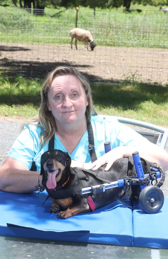 Lisa-Jayne Cameron with Cody the dachshund in 2018, when she was trying to find a new property for the disabled animals in her care. Ms Cameron is scheduled to appear in court this Friday. Picture: Richard Gosling