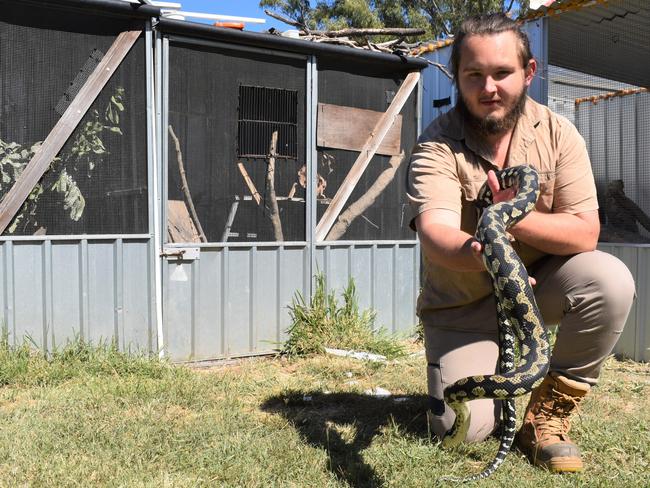 Rockhampton snake catcher Max Neason said it was "gut-wrenching" seeing the python had died.