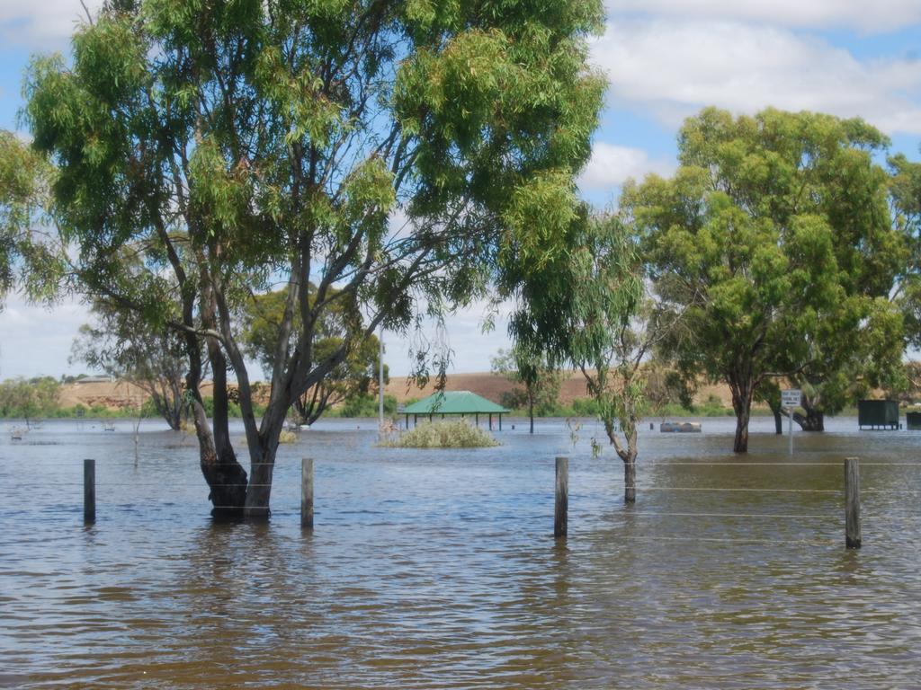 Murray Bridge. Picture: Jo Schulz