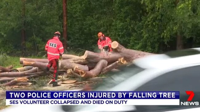 State Emergency Services crews worked to remove the tree which fell on a blue Mini Cooper and two officers. Picture: 7 News.