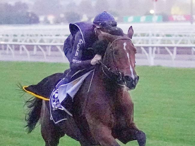 James McDonald rides internationally-trained Lexus Melbourne Cup hopeful Loft for the first time ahead of next Tuesday?s Lexus Melbourne Cup during trackwork at Flemington Racecourse on October 25, 2022 in Flemington, Australia. (Photo by Scott Barbour/Racing Photos via Getty Images)