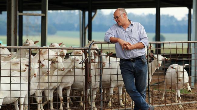 ‘Constant harassment’: Gippy Goat Cafe owner John Gommans says his staff have been copping abusive phone calls daily. Picture: Aaron Francis