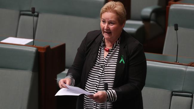 MP Ann Sudmalis claimed Mr Ward led a campaign of “misinformation” to quickly stop her attempted to be re-endorsed for a seat. Picture: Kym Smith