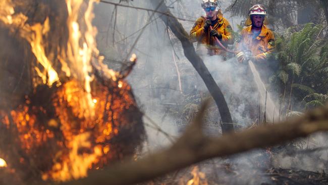 Bushfires January 2019 Tasmania. Geeveston Volunteer fire fighters extinguish a spot fire West of Geeveston. PICTURE CHRIS KIDD