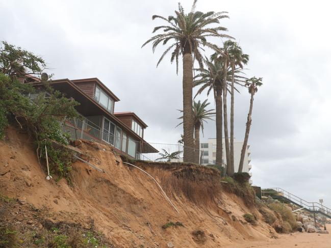 Large waves have been hitting the rear of hoiuses on Narrabeen and Collaroy beaches. A property in Goodwin St has lost part of its rear fence and waves are threatening a stand of palm trees. Picture John Grainger