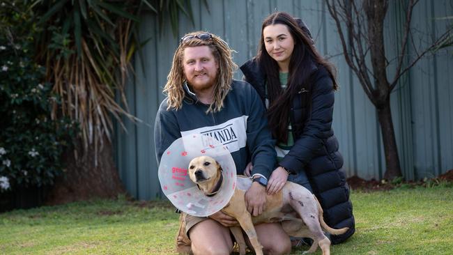 Dog owners Sam Barker and Jasmin Dawe say they are exploring legal action against Light Regional Council for its response to an attack that killed their nine-year-old Australian shepherd Liberty and left their staffy cross Lily seriously injured. Picture: Brett Hartwig