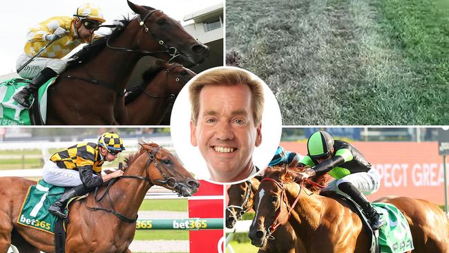 Ray Thomas (inset) previews a big day of racing, with Gold Coast track damage (top right) forcing the relocation of its meeting to the Sunshine Coast. Lady Of Camelot (top left) is favourite for the $3m Sunlight at the Sunshine Coast, while Holymanz (bottom left) will defend his Coastal Classic title at Geelong. And Accredited (bottom right) is heavily fancied at Royal Randwick today.