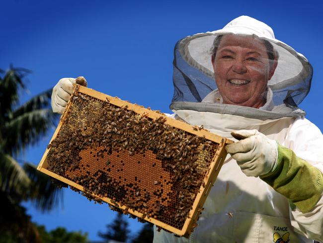 14/1/2025Minister Madeleine King with her bees from her hives in her backyard in Rockingham.Pic Colin Murty