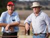 Hail wipes out 80 per cent of winter crops