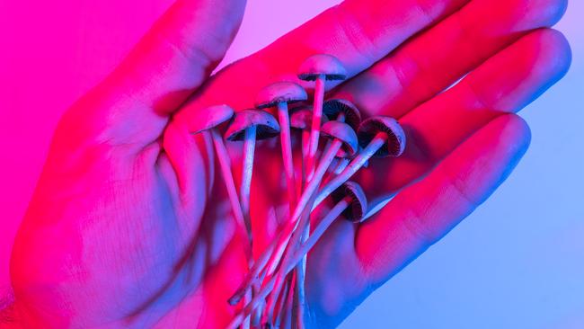 Psilocybin psychedelic mushrooms are being used to treat the most severe form of headaches.