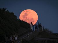 When you’ll be able to see the glorious ‘beaver’ supermoon in Australia