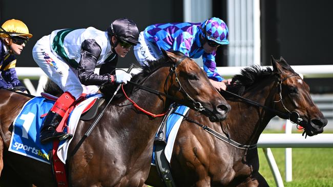 Mr Brightside (left) renews his rivalry with Pride Of Jenni in the Group 1 Australian Cup at Flemington on Saturday. Picture: Vince Caligiuri/Getty Images