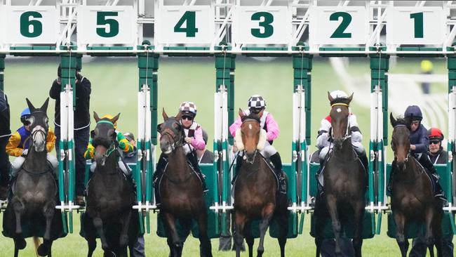 The barrier draw had it all. (AAP Image/Michael Dodge).