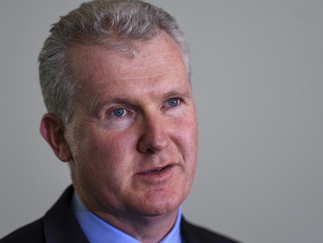 Tony Burke. Picture: AAP