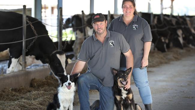 Systems approach: Wes and Rita Hurrell with Border Collie, Allie, and Kelpie, Bindi, on their feed pad at Torrens Vale in South Australia.