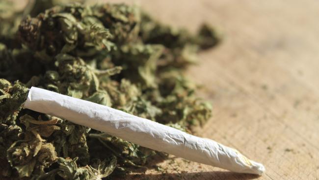 The NSW opposition will push to decriminalise medical cannabis for people with conditions including cancer, HIV and multiple sclerosis.