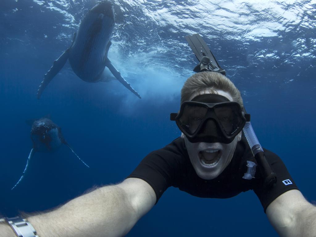 Craig was heading home after an unfruitful afternoon of whale-watching with his dad when they ran into the marine giants. Picture: Craig Parry/Barcroft/Getty