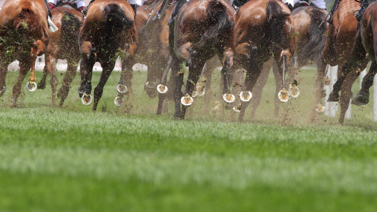 Crooked cash is flooding into illegal betting markets on Australian racing, the AFL and NRL. Picture: supplied