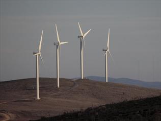 The federal government has appointed a wind farm commissioner to handle complaints about turbines.