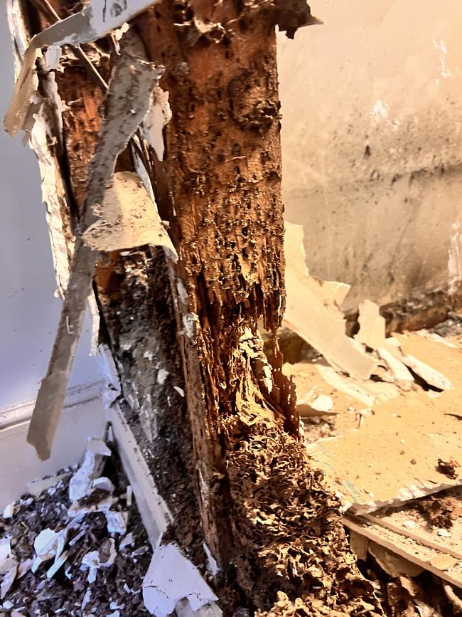 Termite damage Mr Poirier says was uncovered in the building.