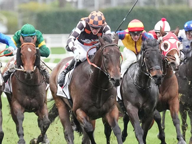 Baraqiel ridden by Ben Allen wins the Lamaro's Hotel Handicap at Caulfield Racecourse on June 29, 2024 in Caulfield, Australia. (Photo by Scott Barbour/Racing Photos via Getty Images)