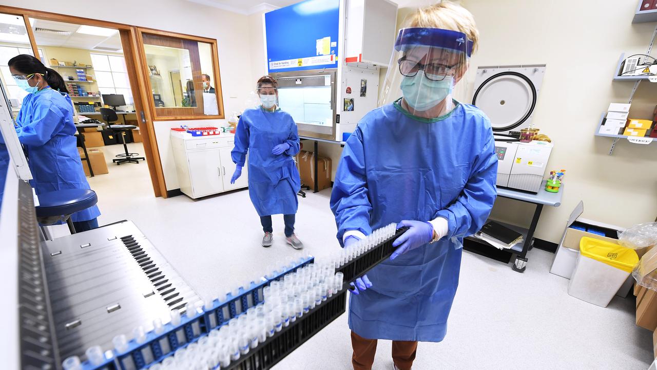 A technical officer moves vials of coronavirus test samples at the SA Pathology laboratory on Frome Rd. Picture: Mark Brake