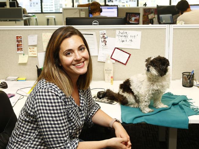 Unlike most employees, dog Hallie bounces out of bed and runs to the door when it is time to go to work. Picture: John Appleyard