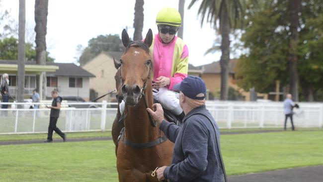 Tarbert comes back to scale after winning  in the Race 1 $22,000 Tarbert for the Kosciuszko Open 1020m at the Clarence River Jockey Club on Tuesday, October 1, 2019.